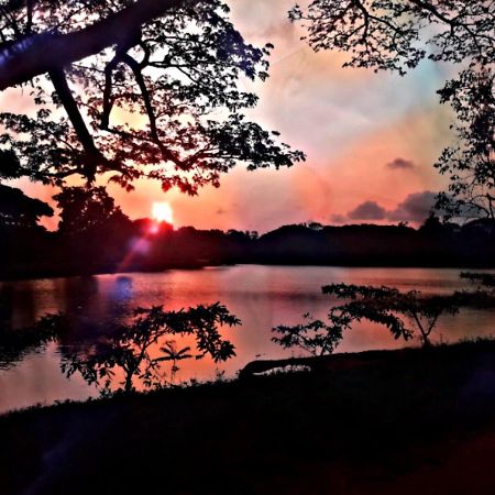Lake View Dambulla Bagian luar foto
