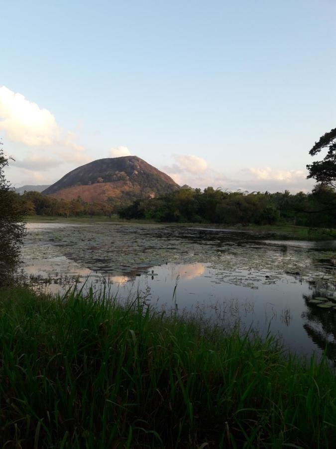 Lake View Dambulla Bagian luar foto