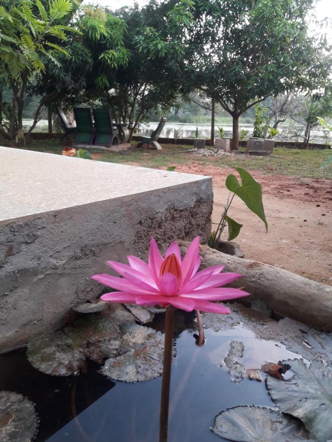 Lake View Dambulla Bagian luar foto